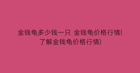金钱龟多少钱一只 金钱龟价格行情(了解金钱龟价格行情)